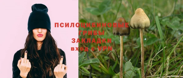 стаф Краснотурьинск