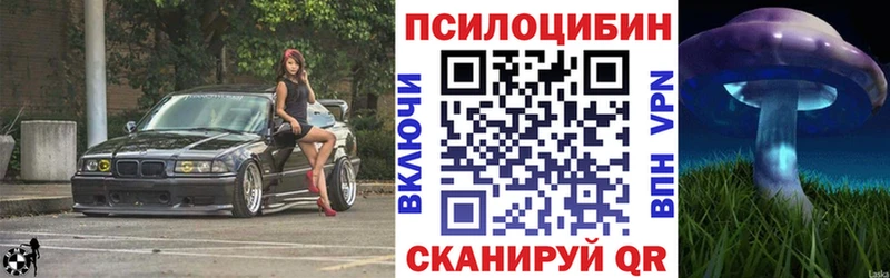 Псилоцибиновые грибы Cubensis  где можно купить   Ясный 